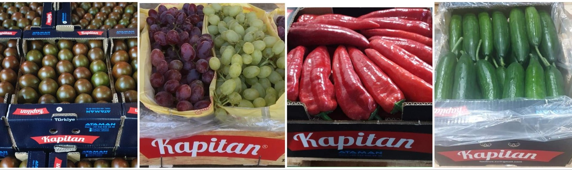 Kapitan,Kapitan Premium Nature